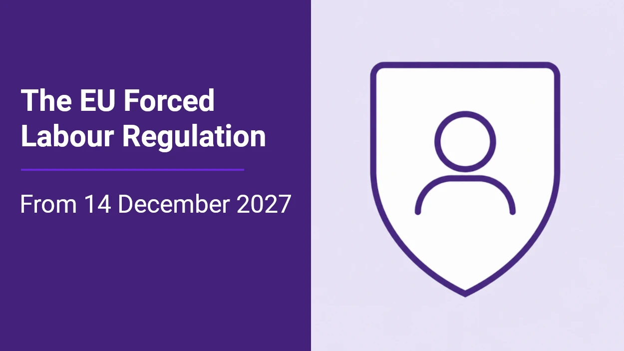 Image for article The EU Forced Labour Regulation