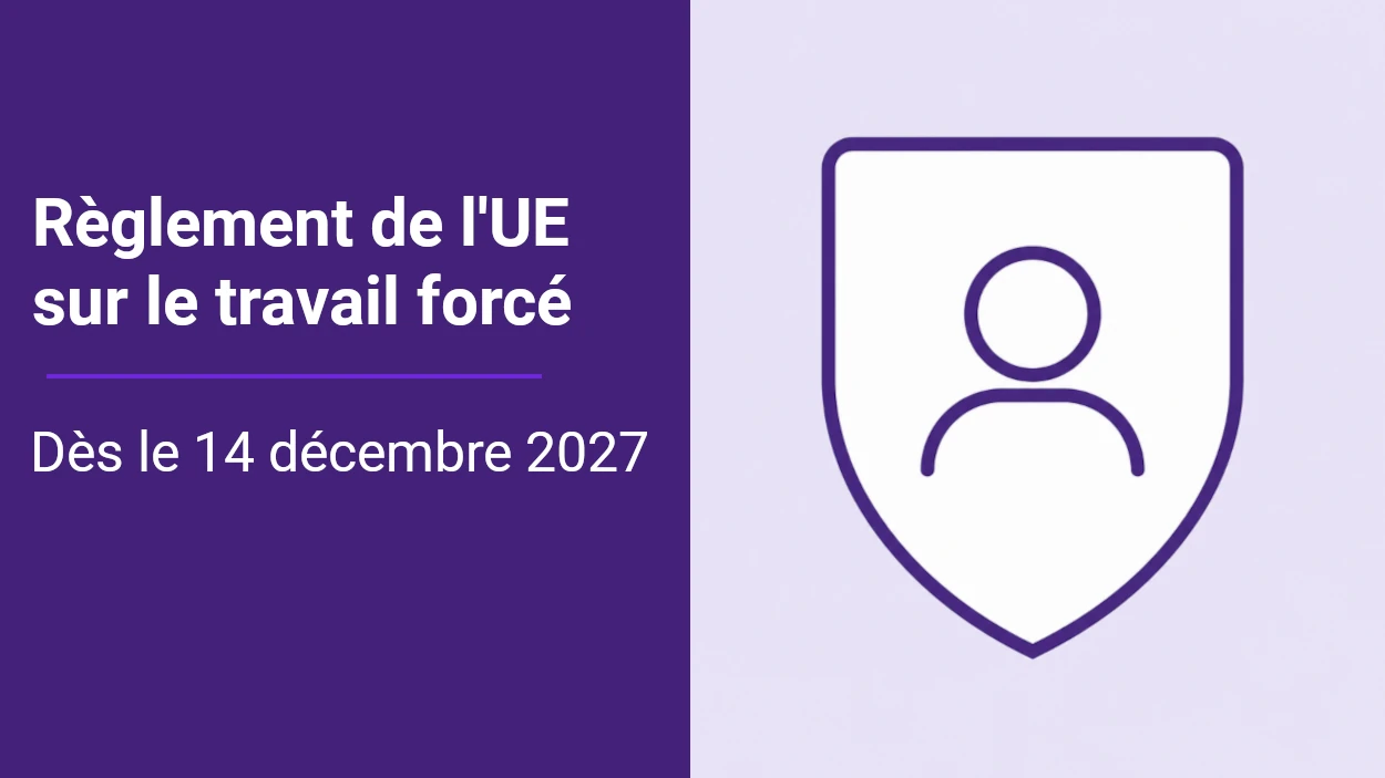 Image pour l'article Le règlement de l'UE sur le travail forcé