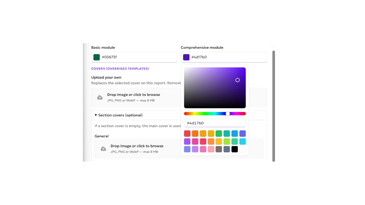 We added branding options for each entity’s VSME report