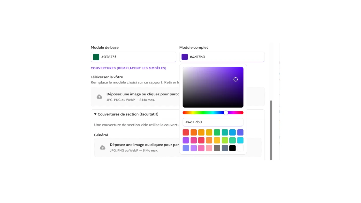 Nous avons ajouté des options de personnalisation de la marque pour le rapport VSME de chaque entité