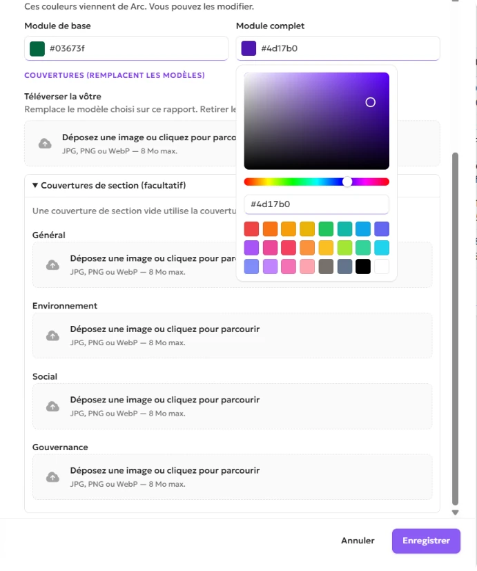 Champs de couleur du module ESGDO ouverts pour le module Basic et le module Comprehensive, avec Get colors et Reset default à côté du champ website.
