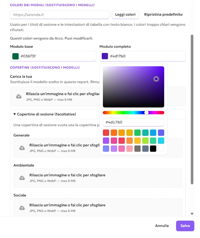 Campi colore del modulo ESGDO aperti per il modulo Base e il modulo Completo, con Ottieni colori e Ripristina predefinito accanto al campo del sito web.